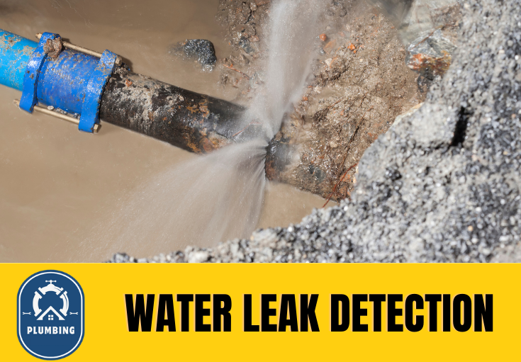 leak detection Sale
